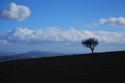 Clicca qui per vedere l'immagine in dettaglio